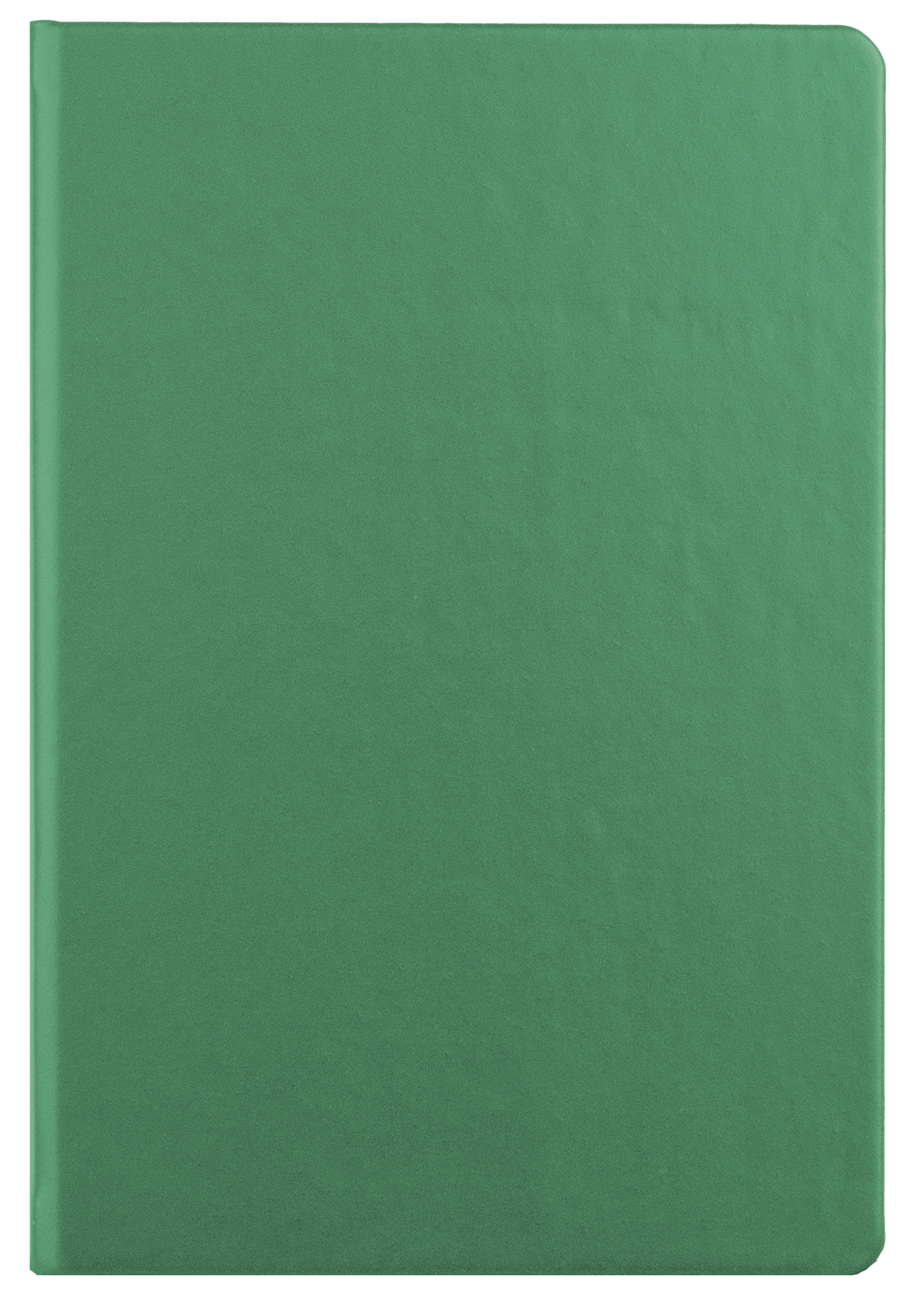 agenda-a5-nedatata-verde-eco-ego_10543793_6_17585306730963.jpg