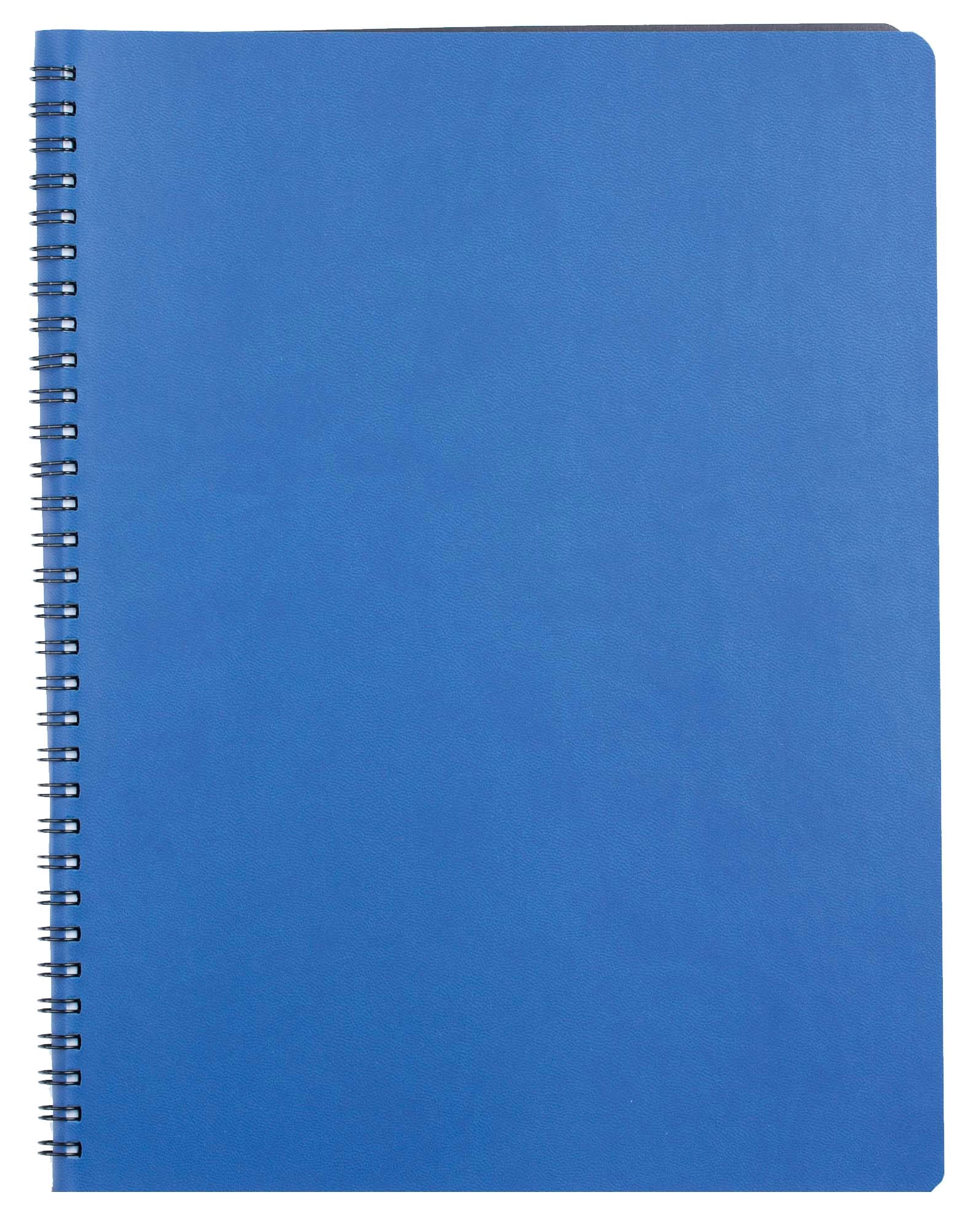 agenda-cu-spira-a4-nedatata-albastra-siena-ego_18369031_5_17583936410123.jpg
