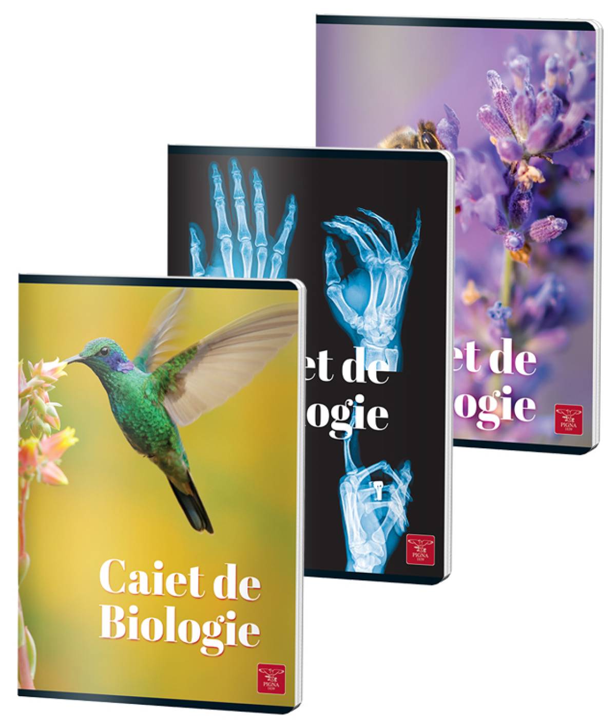 caiet-biologie-a4-24-file-color-pigna_9941_1_17514538532865.jpg