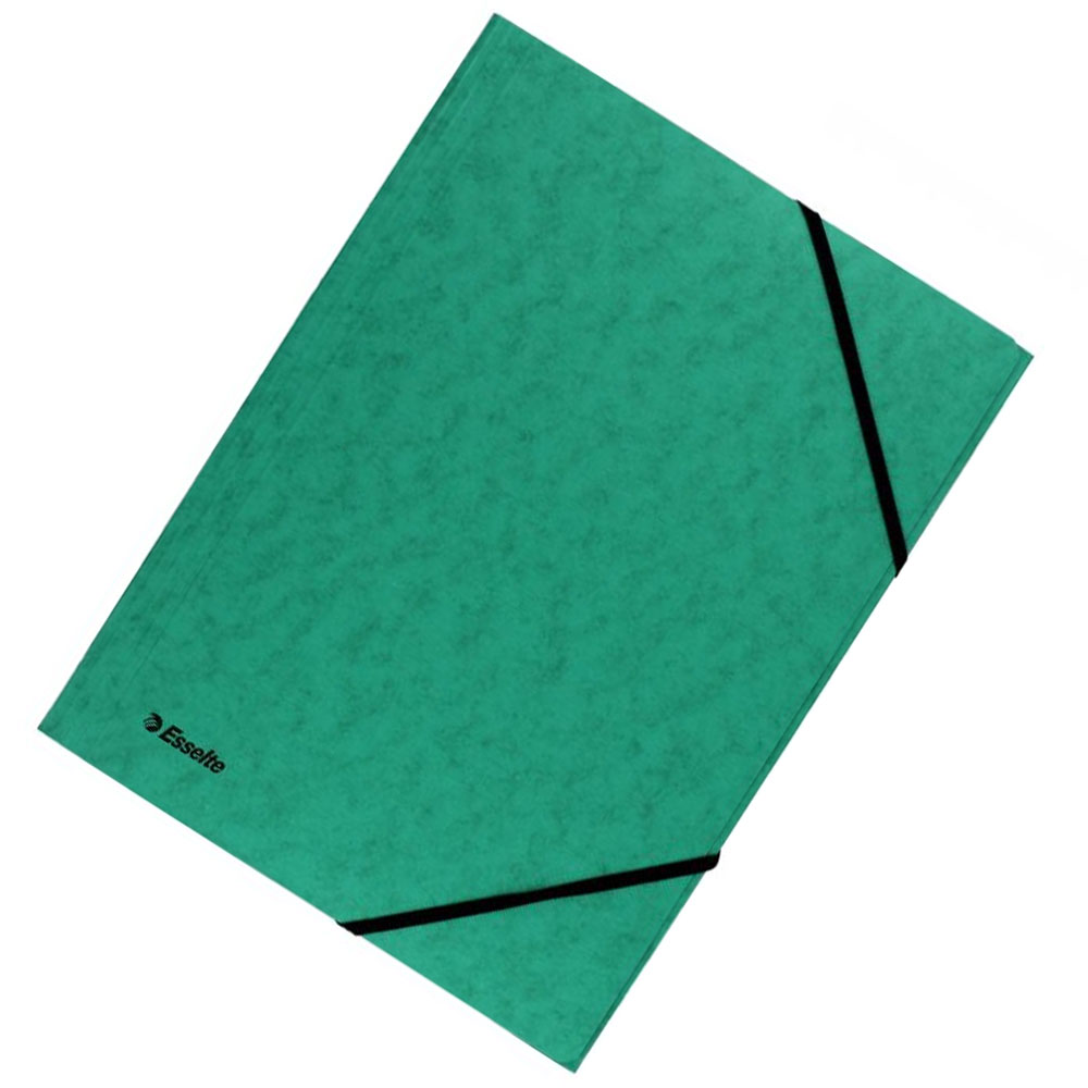 mapa-carton-cu-elastic-lux-verde-esselte_13648_2_17117153856089.jpg