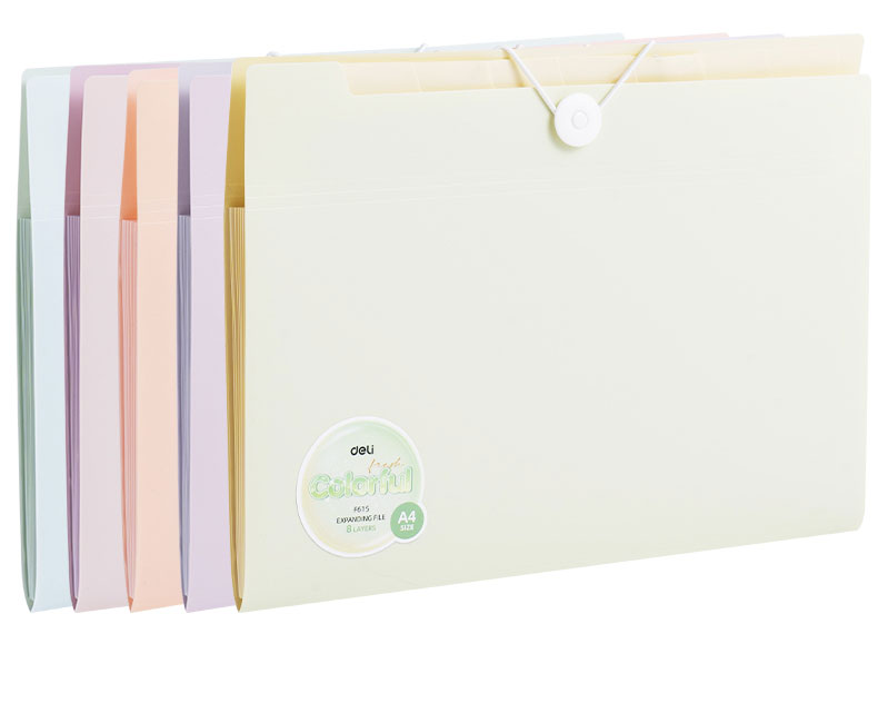 mapa-plastic-cu-elastic-7-separatoare-cul-macarons-deli_14640809_1_1731563828.jpg