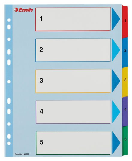 separatoare-index-carton-15-reinscriptibil-esselt_15752_2_17095561915298.jpg