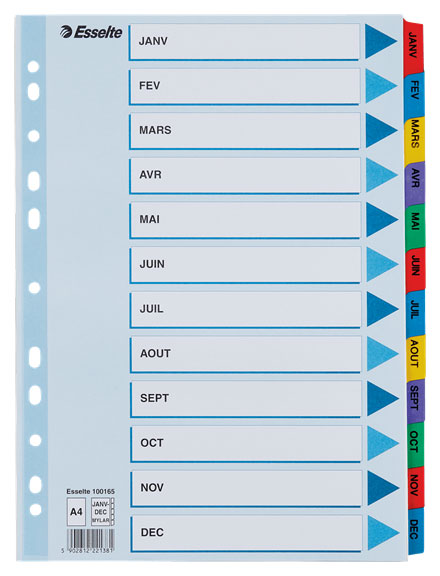 separatoare-index-carton-iandec-mylar-esselte_15759_2_17095559554609.jpg